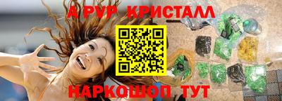 тгк Бийск