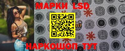 тгк Бийск