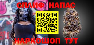 тгк Бийск