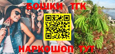 тгк Бийск