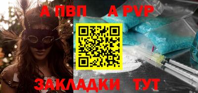 тгк Бийск