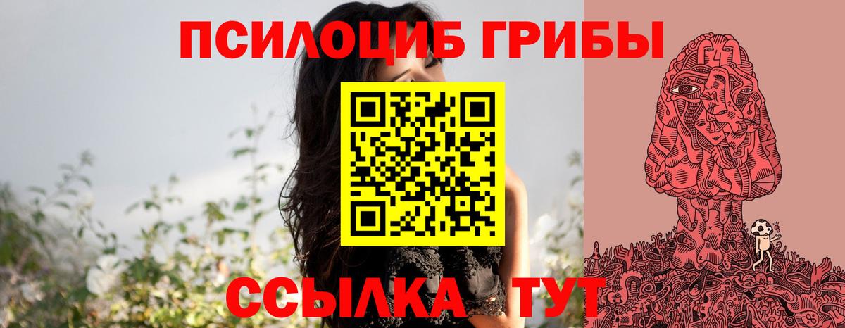 Псилоцибиновые грибы мухоморы Кингисепп