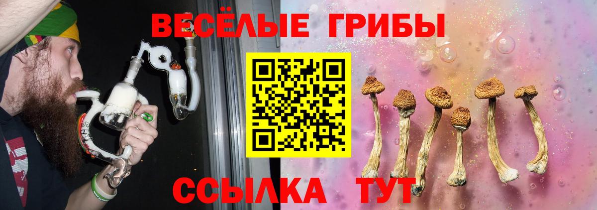 Псилоцибиновые грибы Psilocybe  Псилоцибиновые грибы мухоморы  Кингисепп  Вход с VPN 